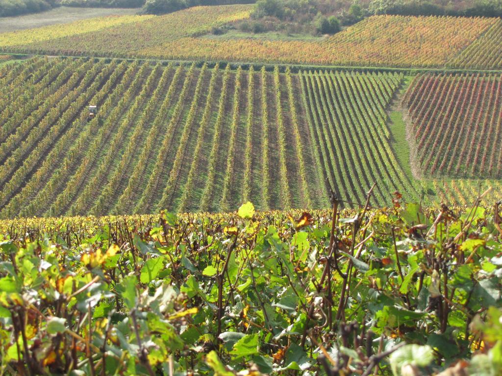 Hotel La Chouette Puligny-Montrachet Exterior photo